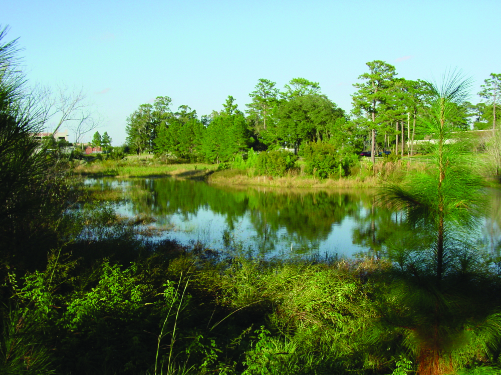 The Amazing Science Behind Stormwater Basin Design